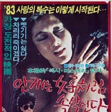 안개는 女子처럼 속삭인다