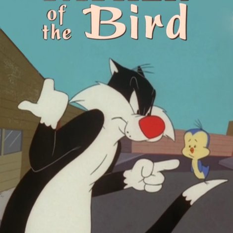 Father Of The Bird