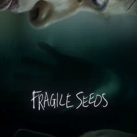Fragile Seeds
