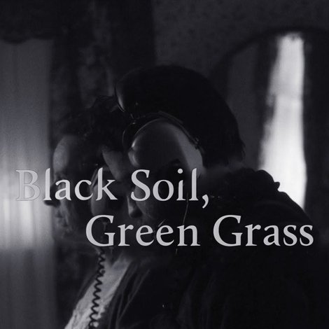 Black Soil, Green Grass