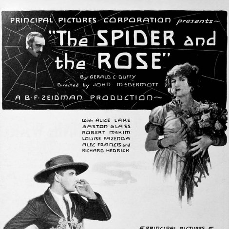 The Spider and the Rose