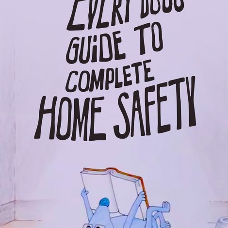 Every Dog's Guide to Complete Home Safety