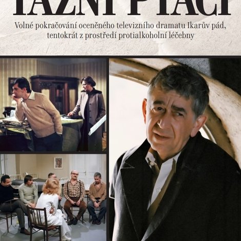 Tažní ptáci