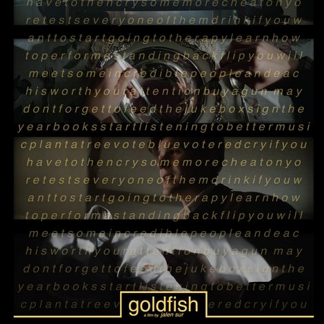 Goldfish