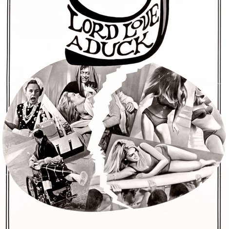 Lord Love a Duck