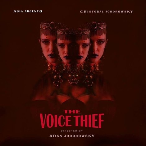 The Voice Thief