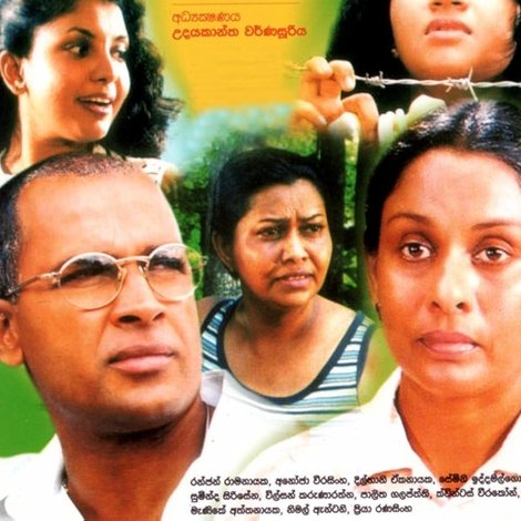 යකඩ පිහාටු