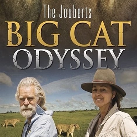 Big Cat Odyssey: Revealed
