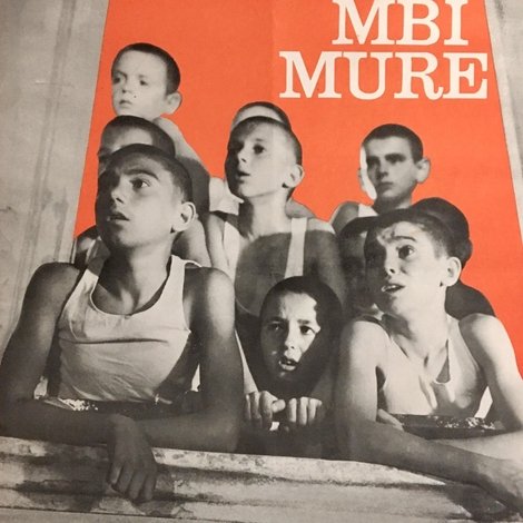 Lulëkuqet mbi mure