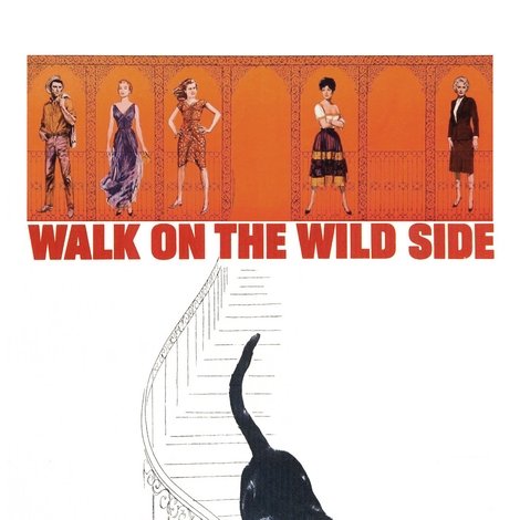 Walk on the Wild Side