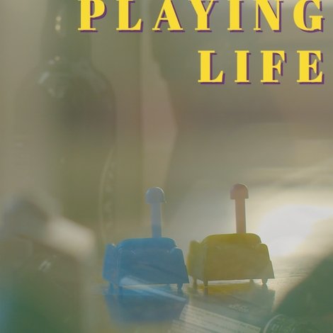 Playing Life