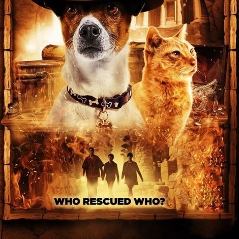 Treasure Hounds