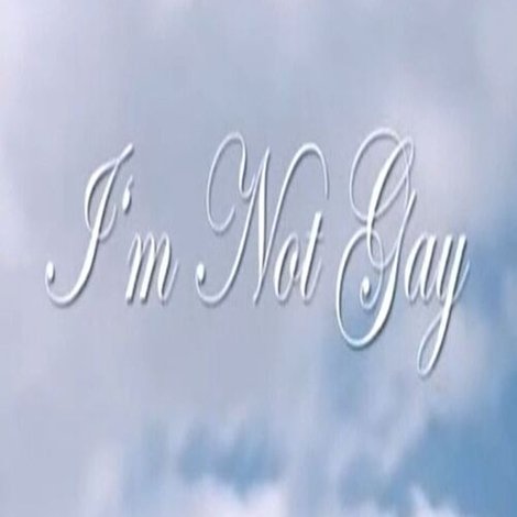 I'm Not Gay