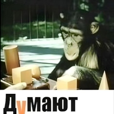 Чи думають тварини?