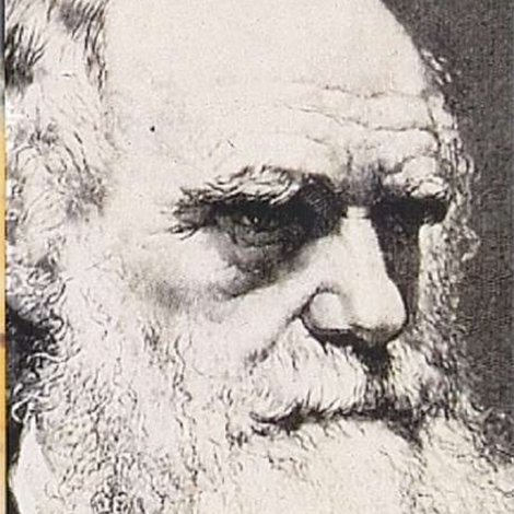 Darwin