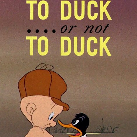 To Duck.... Or Not to Duck