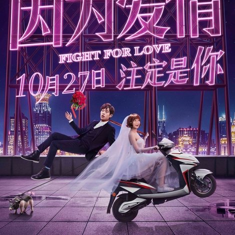 因为爱情