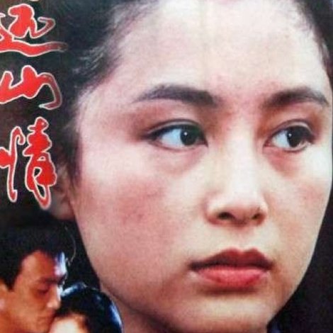 远山情