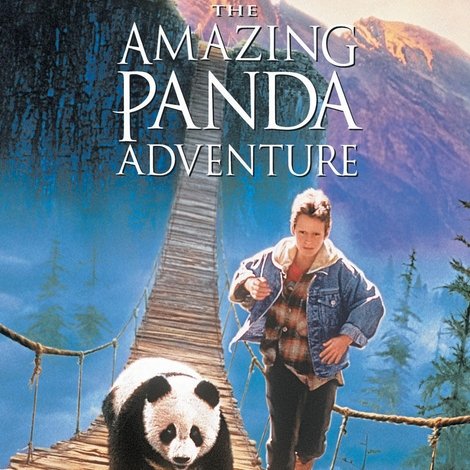 The Amazing Panda Adventure