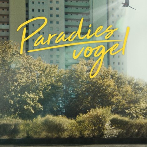Paradiesvogel