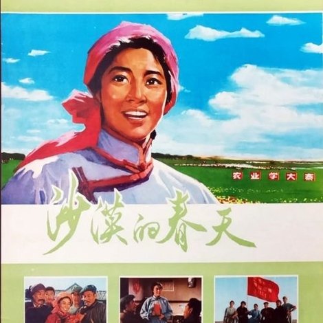 沙漠的春天