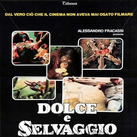 Dolce e selvaggio