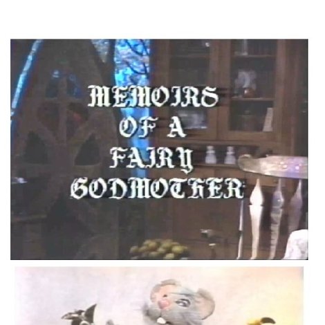 The Memoirs of a Fairy Godmother