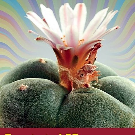 Peyote to LSD: A Psychedelic Odyssey