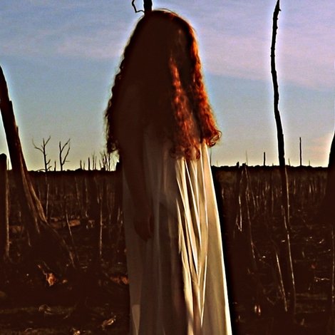 The Girl in the Cornfield