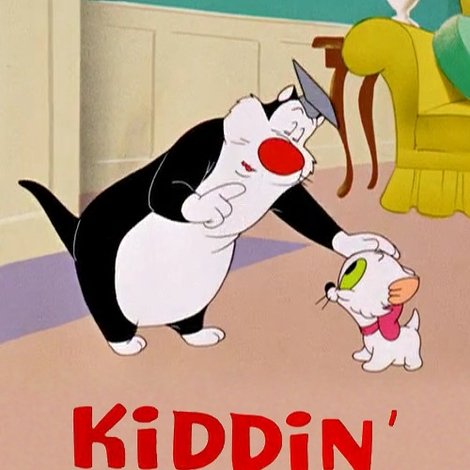 Kiddin' the Kitten
