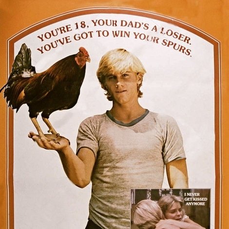 Rooster: Spurs of Death!