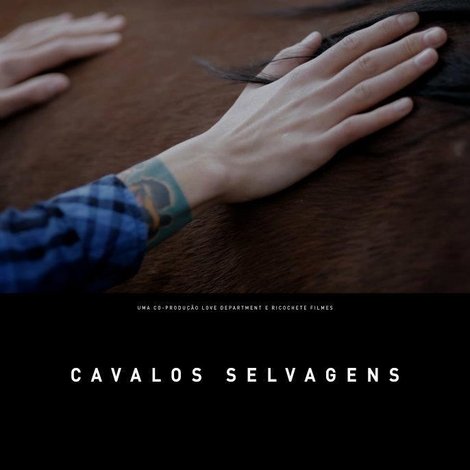 Cavalos Selvagens