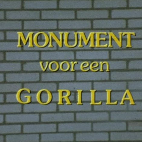 Een Monument voor een Gorilla