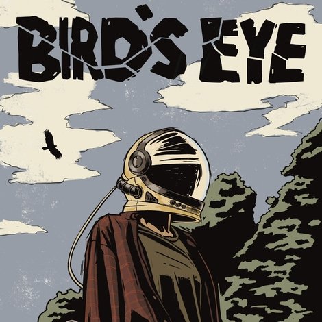 Bird's Eye