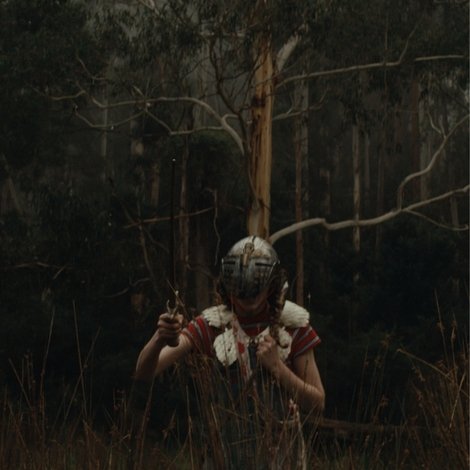 In The Trees