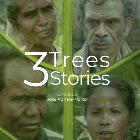 3 Trees, 3 Stories