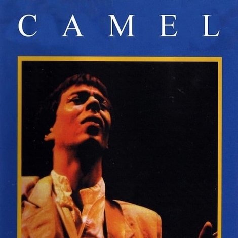 Camel: Total Pressure