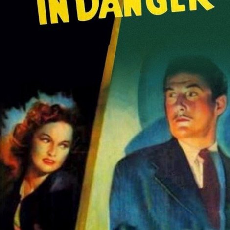 The Falcon in Danger