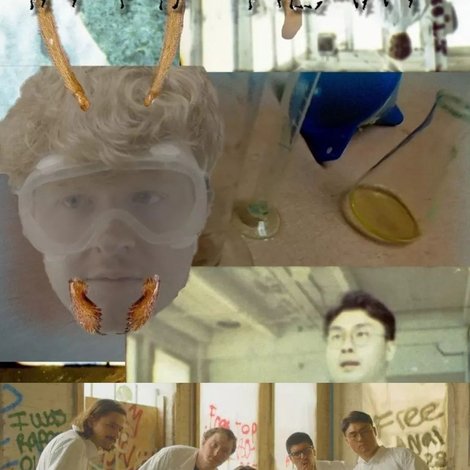 the anthill in my heart