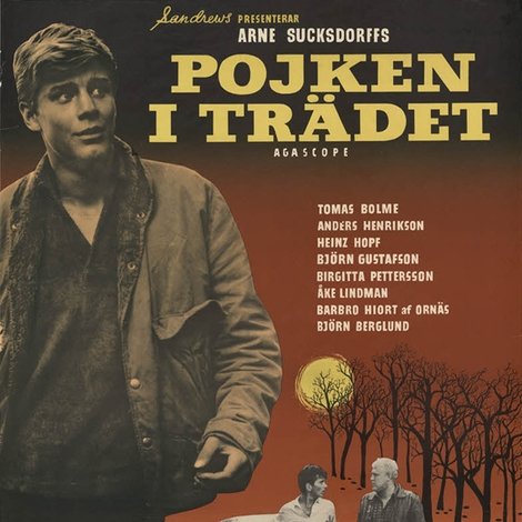 Pojken i trädet