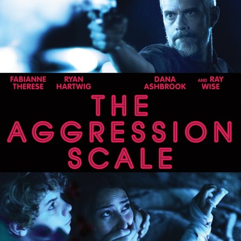 The Aggression Scale