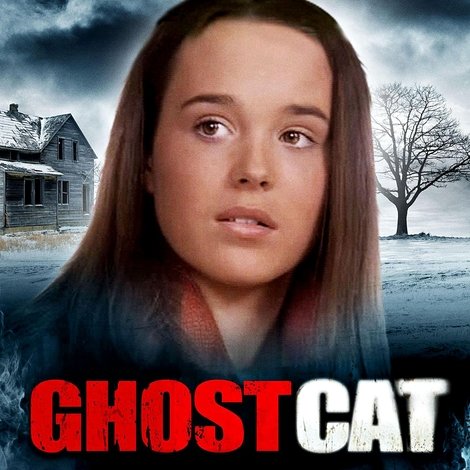 Mrs. Ashboro's Cat