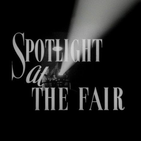 Spotlight at the Fair