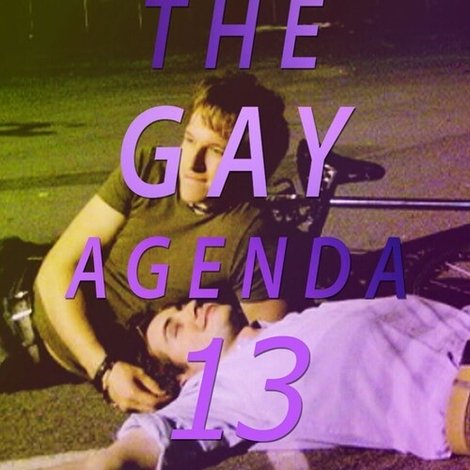 The Gay Agenda 13
