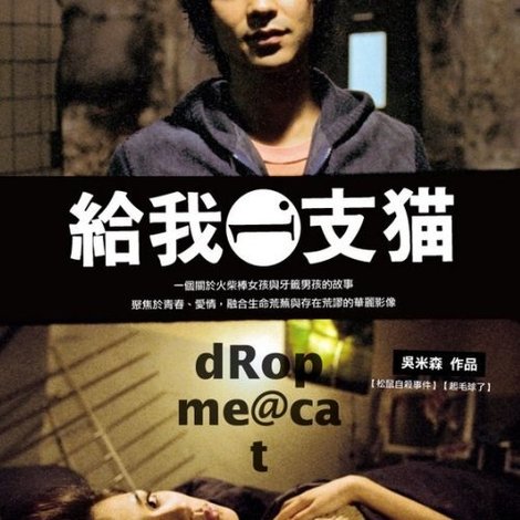給我一支貓