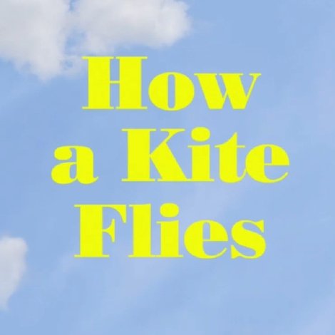 How a Kite Flies