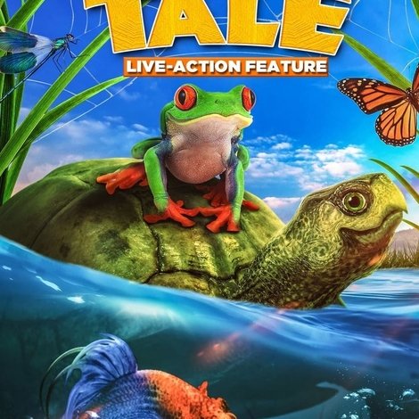 Turtle Tale