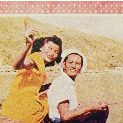 双料夫妻