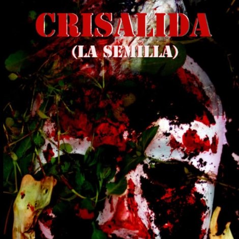 Crisalida