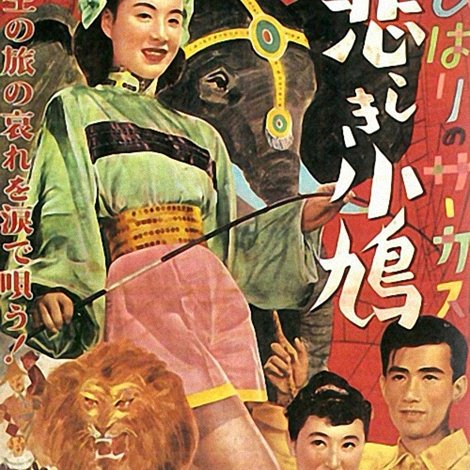 ひばりのサーカス 悲しき小鳩